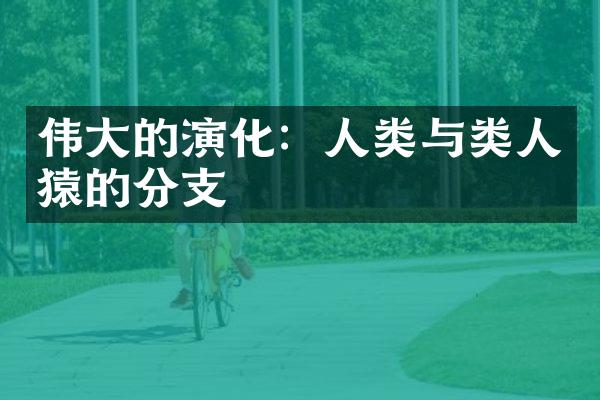 伟大的演化：人类与类人猿的分支