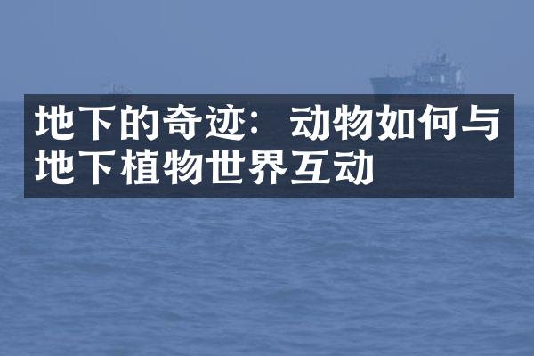地下的奇迹：动物如何与地下植物世界互动
