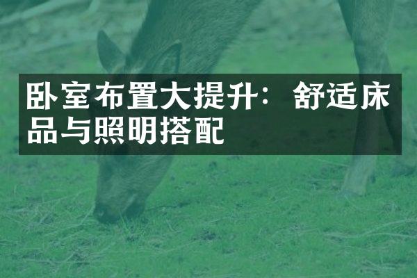 卧室布置大提升：舒适床品与照明搭配