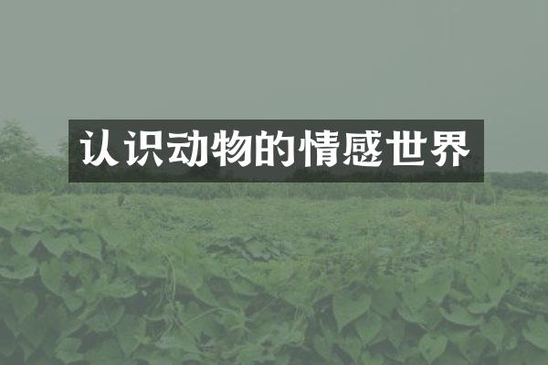 认识动物的情感世界