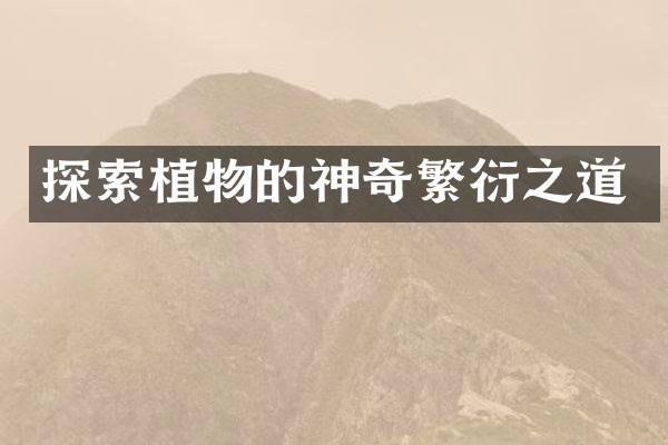 探索植物的神奇繁衍之道