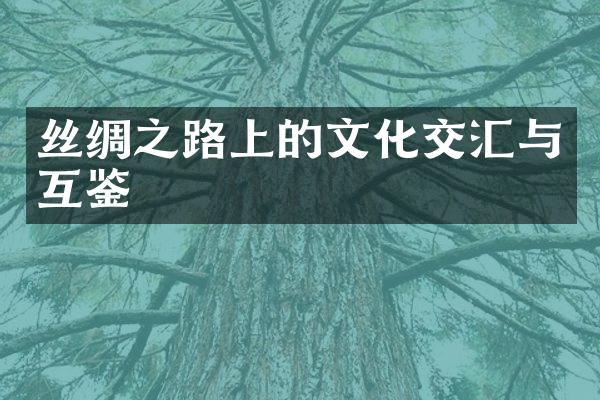 丝绸之路上的文化交汇与互鉴