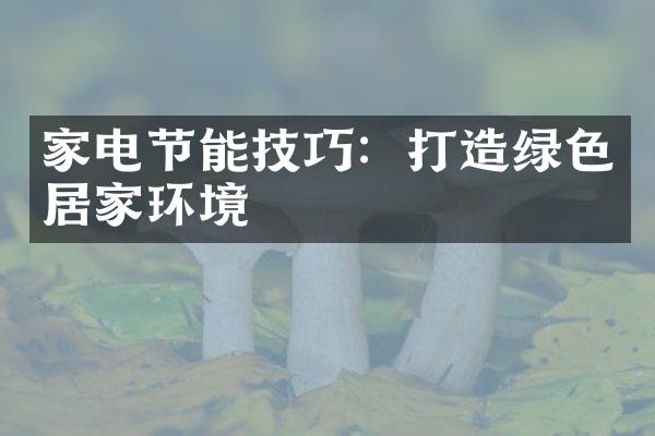家电节能技巧：打造绿色居家环境