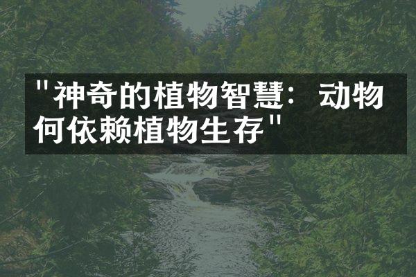 "神奇的植物智慧：动物如何依赖植物生存"