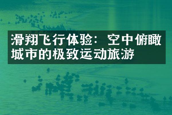 滑翔飞行体验：空中俯瞰城市的极致运动旅游