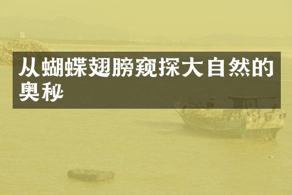 从蝴蝶翅膀窥探大自然的奥秘