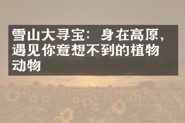 雪山大寻宝：身在高原，遇见你意想不到的植物和动物