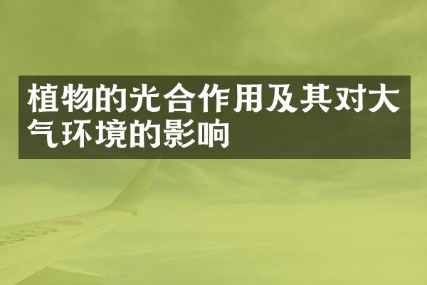 植物的光合作用及其对大气环境的影响