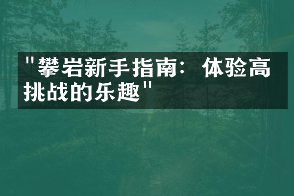 "攀岩新手指南：体验高空挑战的乐趣"