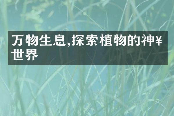 万物生息,探索植物的神奇世界
