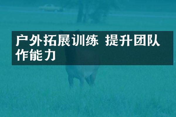 户外拓展训练 提升团队协作能力