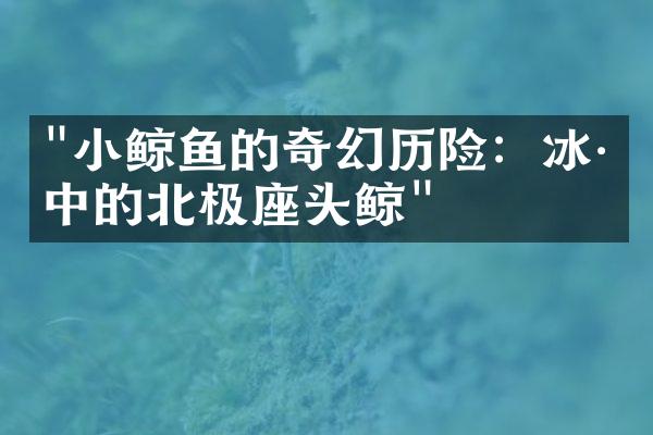 "小鲸鱼的奇幻历险：冰川中的北极座头鲸"
