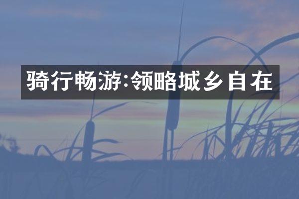 骑行畅游:领略城乡自在