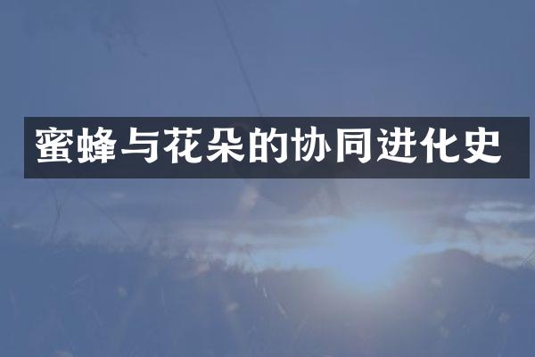 蜜蜂与花朵的协同进化史