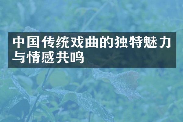 中国传统戏曲的独特魅力与情感共鸣