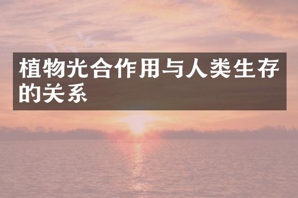 植物光合作用与人类生存的关系