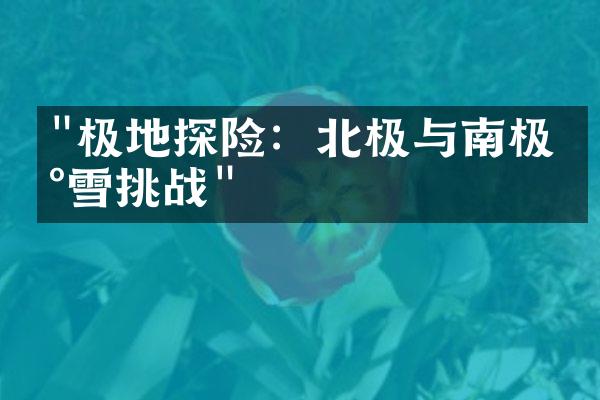 "极地探险：北极与南极冰雪挑战"
