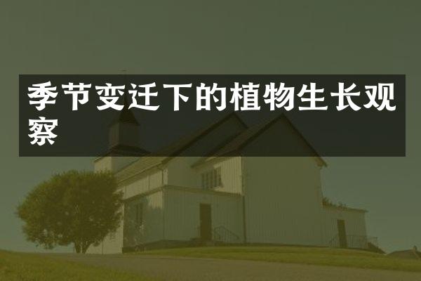 季节变迁下的植物生长观察