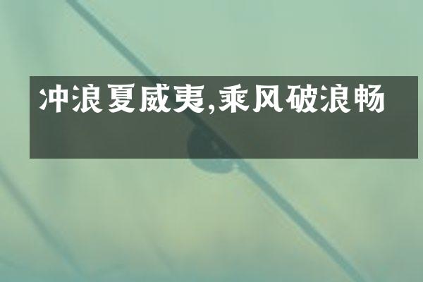 冲浪夏威夷,乘风破浪畅游