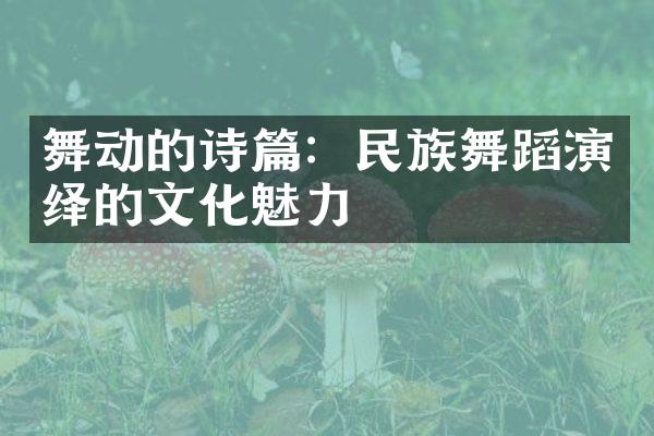 舞动的诗篇：民族舞蹈演绎的文化魅力