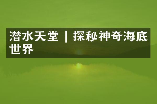 潜水天堂 | 探秘神奇海底世界