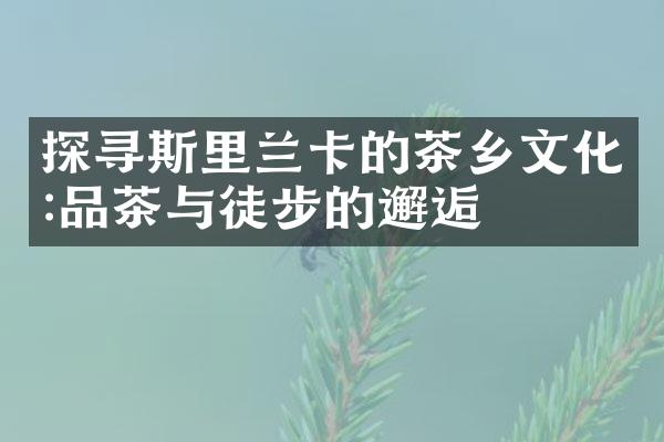 探寻斯里兰卡的茶乡文化:品茶与徒步的邂逅