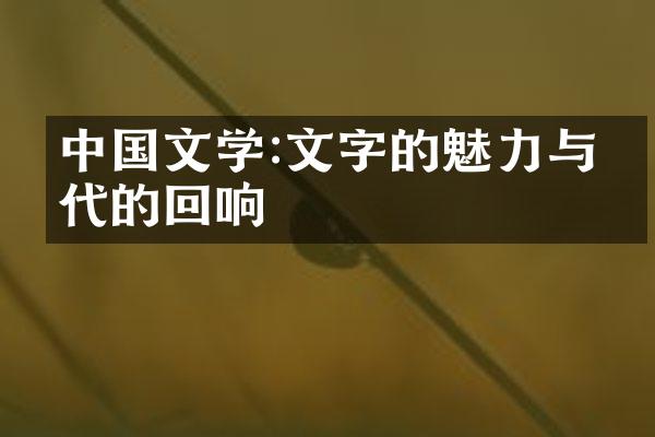 中国文学:文字的魅力与时代的回响