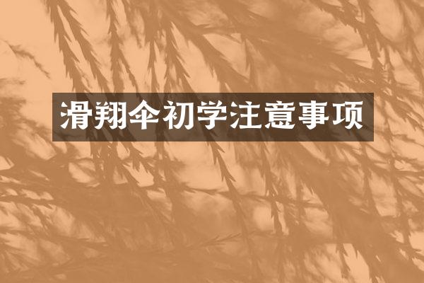 滑翔伞初学注意事项
