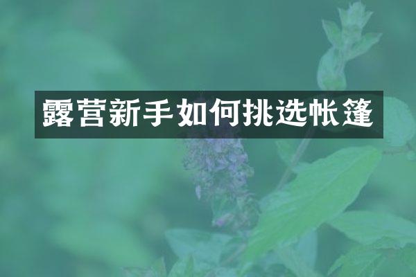 露营新手如何挑选帐篷