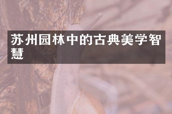 苏州园林中的古典美学智慧