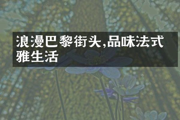 浪漫巴黎街头,品味法式优雅生活