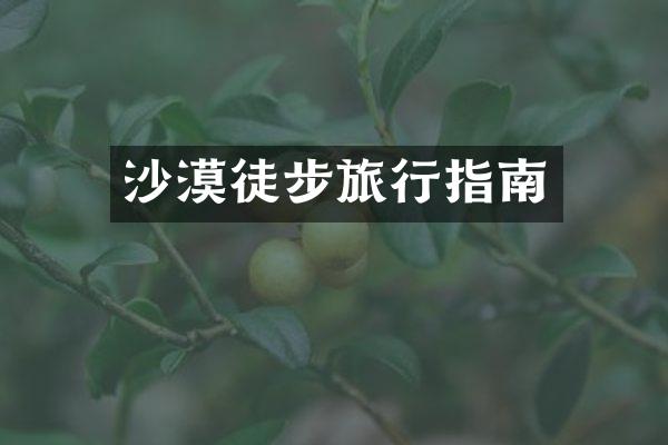 沙漠徒步旅行指南