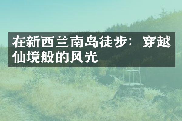 在新西兰南岛徒步：穿越仙境般的风光