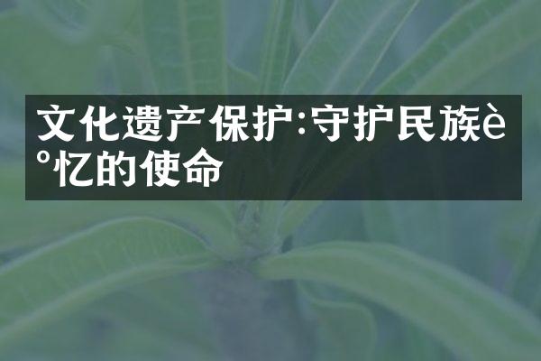 文化遗产保护:守护民族记忆的使命