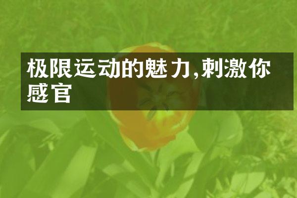 极限运动的魅力,刺激你的感官