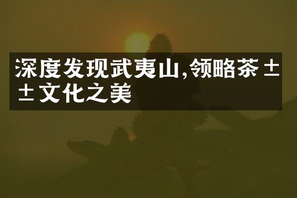 深度发现武夷山,领略茶山文化之美