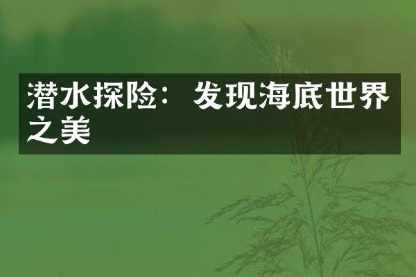 潜水探险：发现海底世界之美