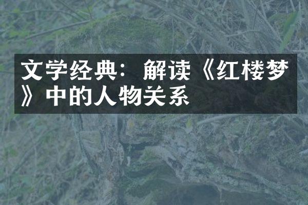 文学经典：解读《红楼梦》中的人物关系