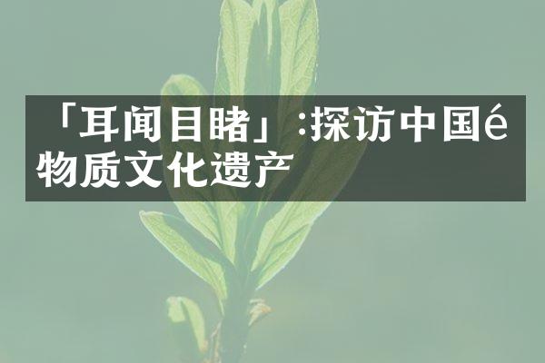 「耳闻目睹」:探访中国非物质文化遗产