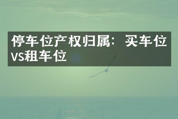 停车位产权归属：买车位vs租车位