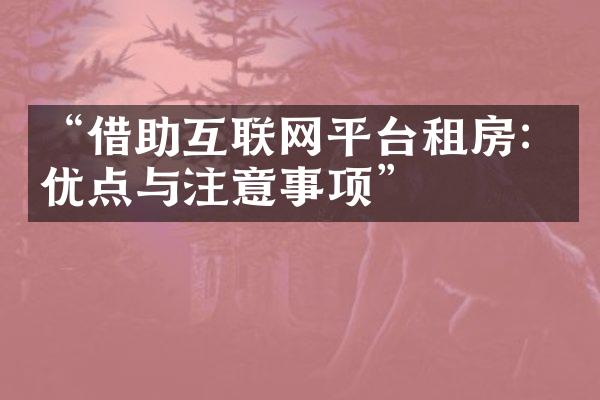 “借助互联网平台租房：优点与注意事项”