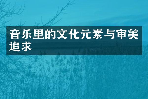 音乐里的文化元素与审美追求