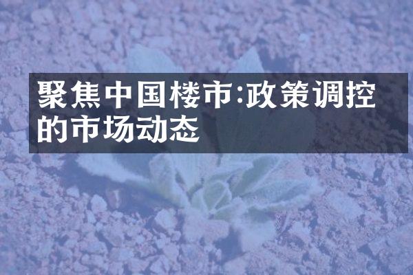 聚焦中国楼市:政策调控下的市场动态