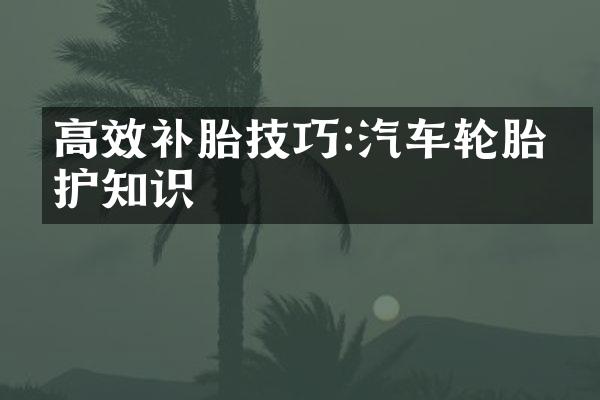 高效补胎技巧:汽车轮胎维护知识