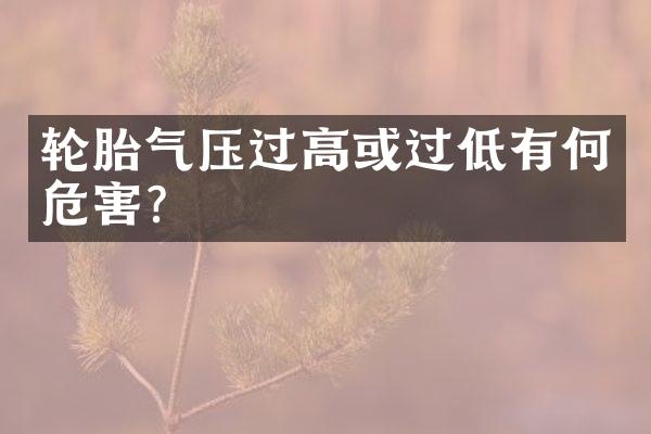 轮胎气压过高或过低有何危害？