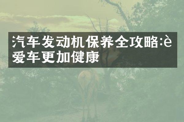 汽车发动机保养全攻略:让爱车更加健康