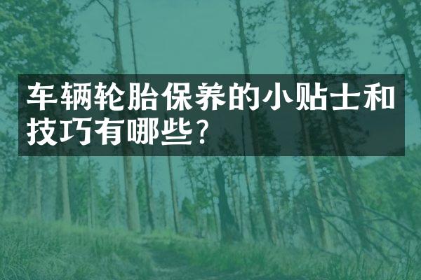 车辆轮胎保养的小贴士和技巧有哪些？
