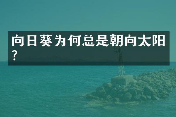 向日葵为何总是朝向太阳？