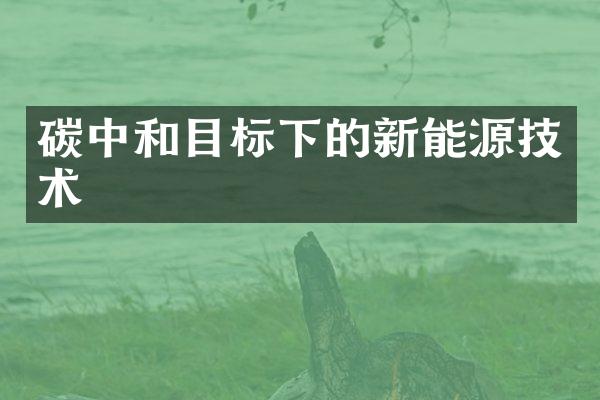 碳中和目标下的新能源技术