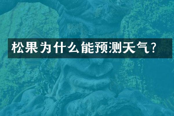 松果为什么能预测天气？